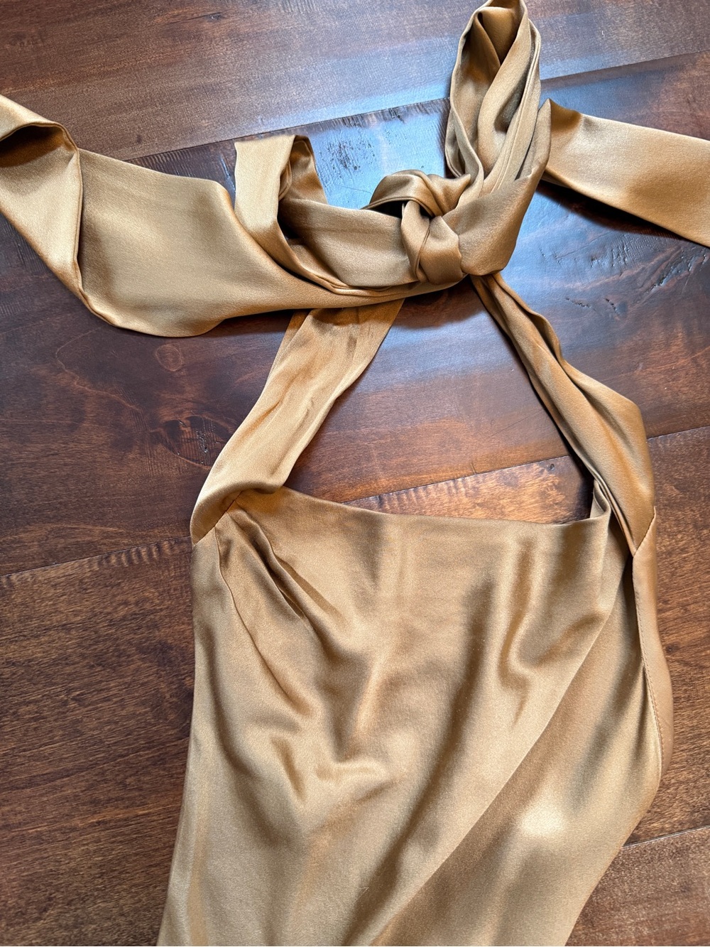 AEXAE Silk Backless Maxi Dress in Light Brown - Picture 7 of 12